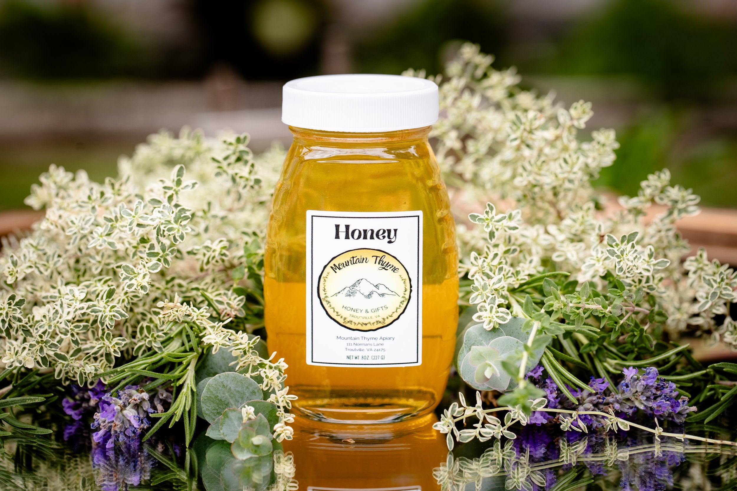 Honey Half pound | Mountain Thyme Honey & Gifts, LLC